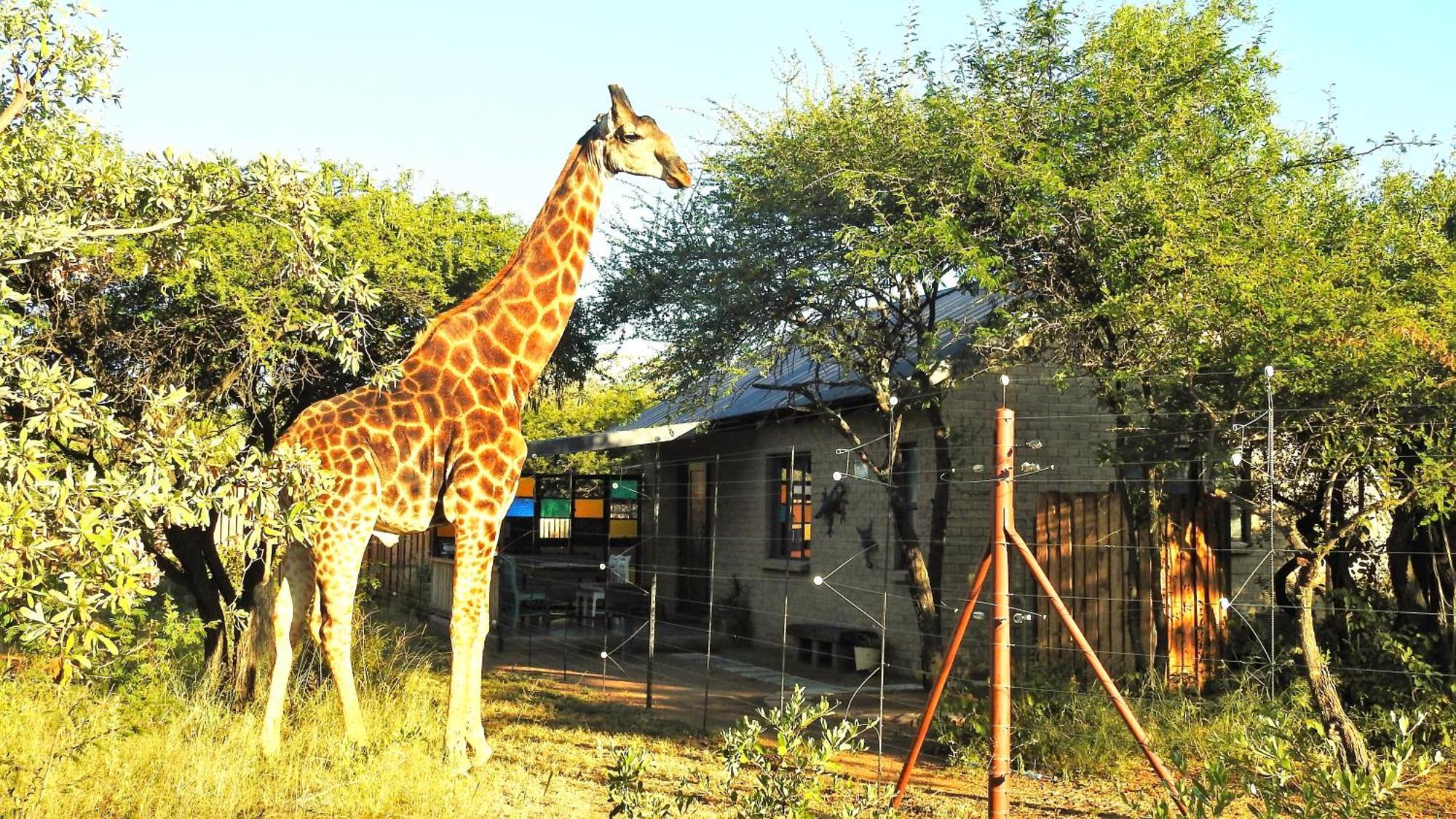 Marulani Bush Lodge Klipdrift ภายนอก รูปภาพ