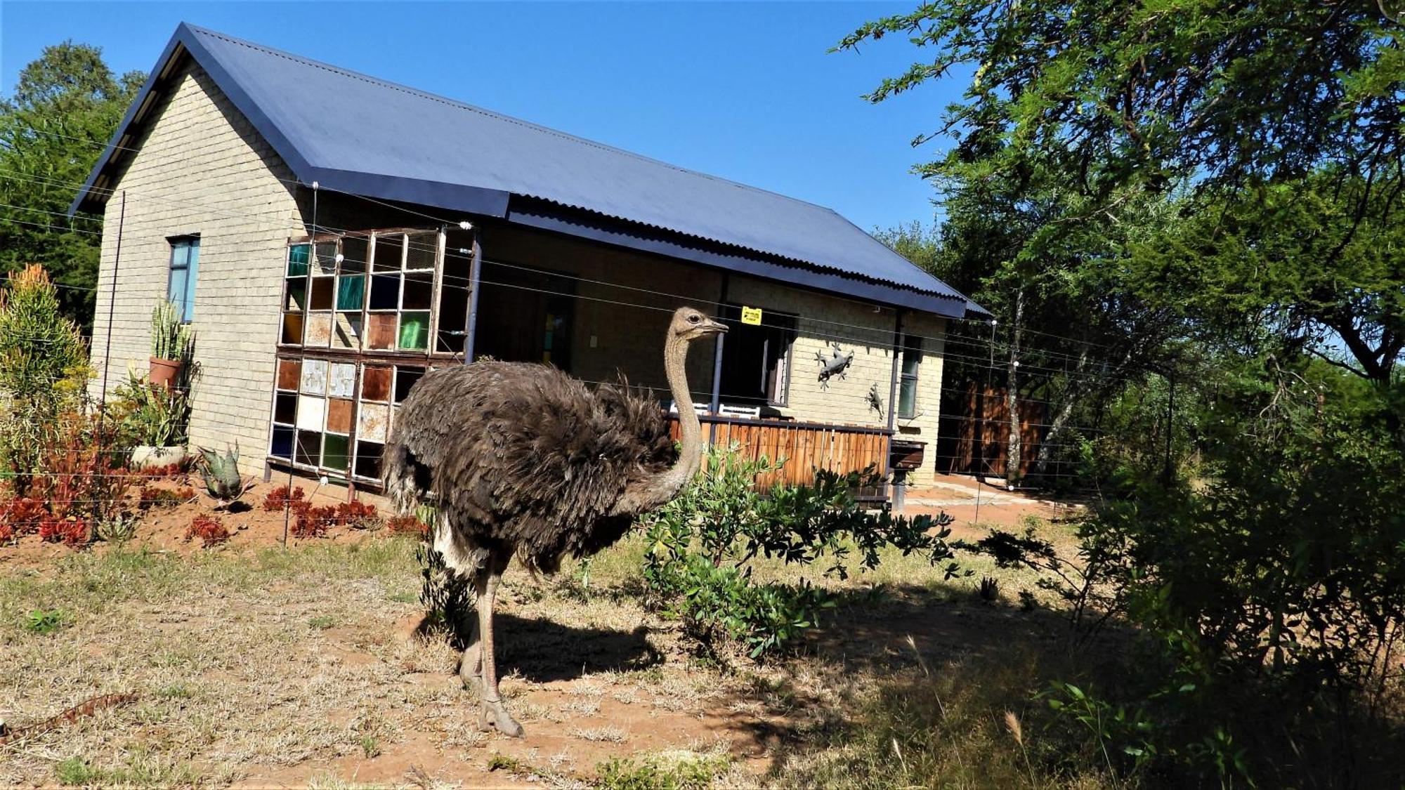 Marulani Bush Lodge Klipdrift ภายนอก รูปภาพ